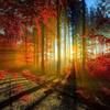 boagie_2179